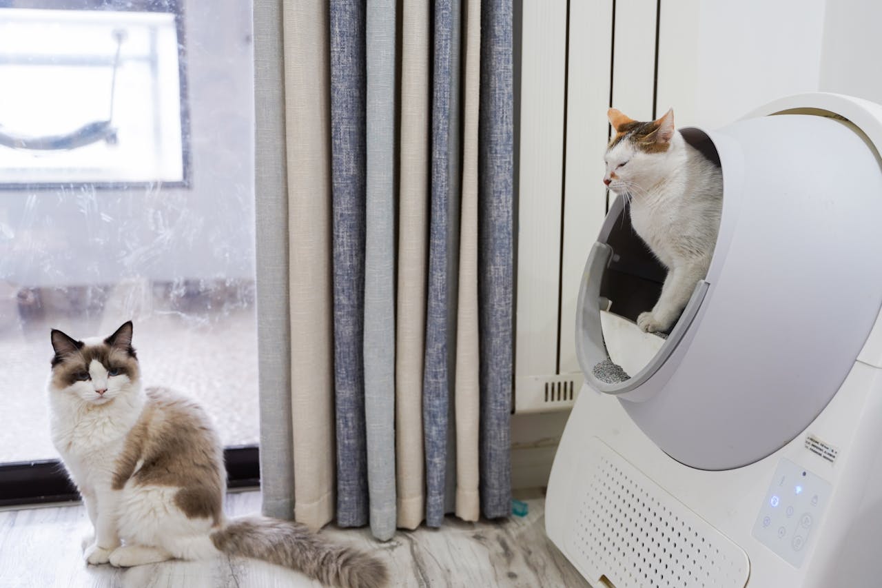 top-5-automatic-self-cleaning-litter-box-for-cats-at-litter-robot